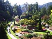 �u�b�`���[�g�K�[�f���Q