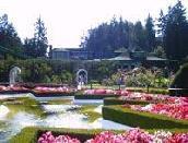 �u�b�`���[�g�K�[�f���R