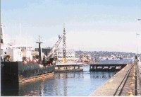 �`�b�e���Q������P