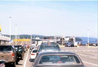 �t�F���[Swartz Bay���